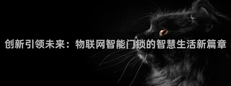 jdb夺宝游戏试玩：创新引领未来：物联网智能门锁的智慧生活新