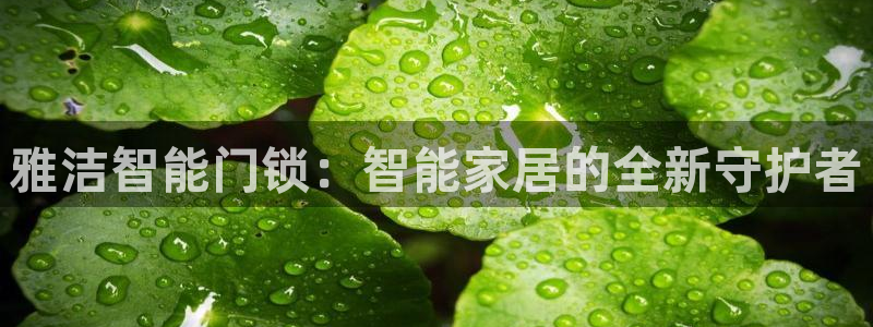 jdb电子富豪哥爆奖视频：雅洁智能门锁：智能家居的全新守护者