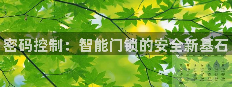 jdb电子平台能提现吗是真的吗：密码控制：智能门锁的安全新基