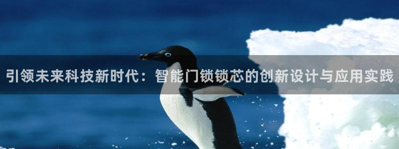 jdbc注册：引领未来科技新时代：智能门锁锁芯的创新设计与应