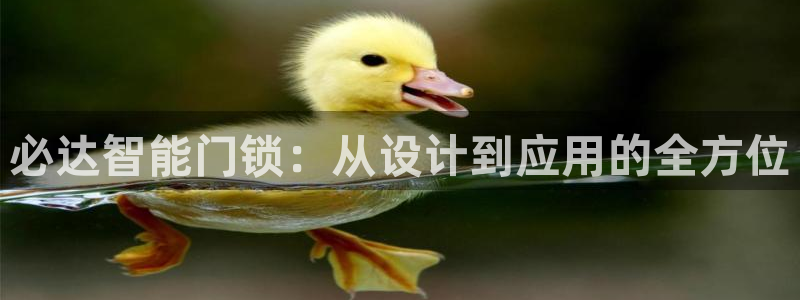jdb电子可以操控的吗：必达智能门锁：从设计到应用的全方位