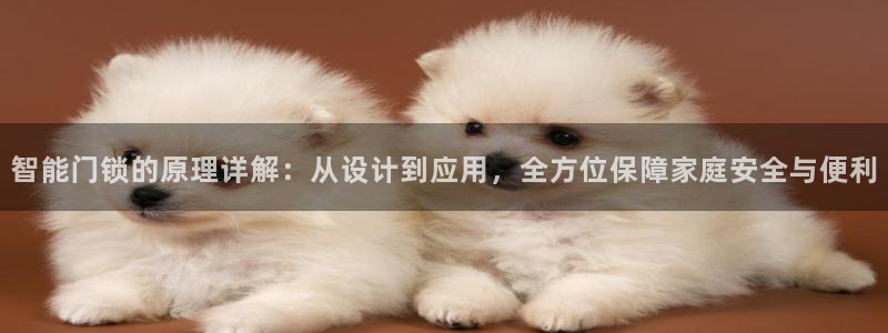 jdb电子安卓版客户端下载：智能门锁的原理详解：从设计到应用