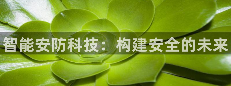 jdb游戏官网：智能安防科技：构建安全的未来