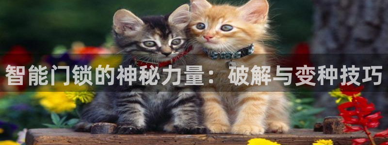 夺宝jdb网址：智能门锁的神秘力量：破解与变种技巧