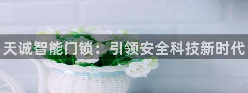 jdb夺宝游戏平台：天诚智能门锁：引领安全科技新时代
