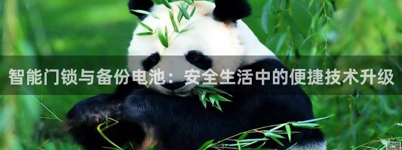 jdb五龙捕鱼app下载：智能门锁与备份电池：安全生活中的便