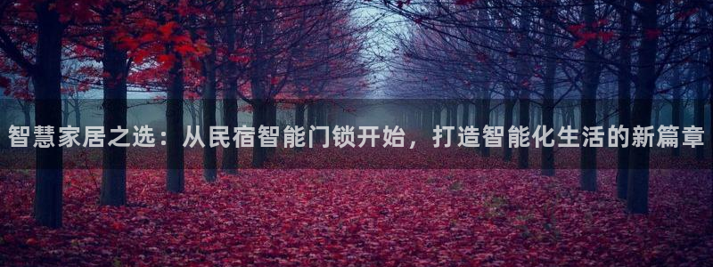 电子游艺jdb变脸jdb电子：智慧家居之选：从民宿智能门锁开