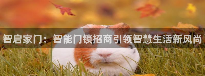 jdb金鸡报喜大奖图：智启家门：智能门锁招商引领智慧生活新风