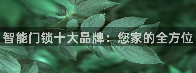 jdb电子游戏大奖：智能门锁十大品牌：您家的全方位