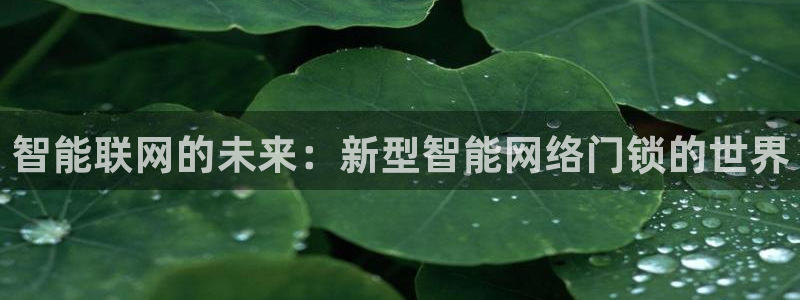 jdb电子中jp大奖：智能联网的未来：新型智能网络门锁的世界