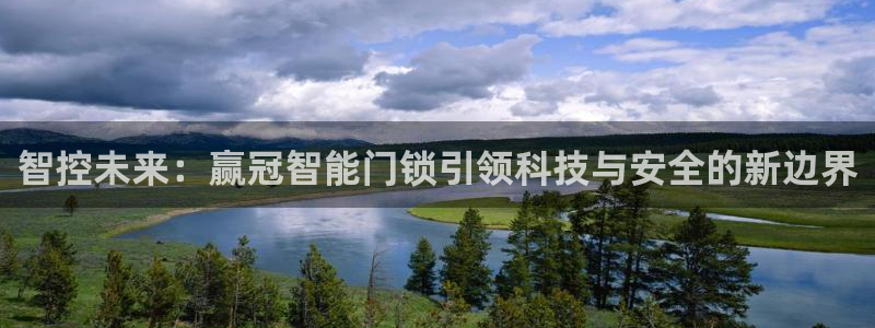 jdb电子飞鸟派对游戏：智控未来：赢冠智能门锁引领科技与安全