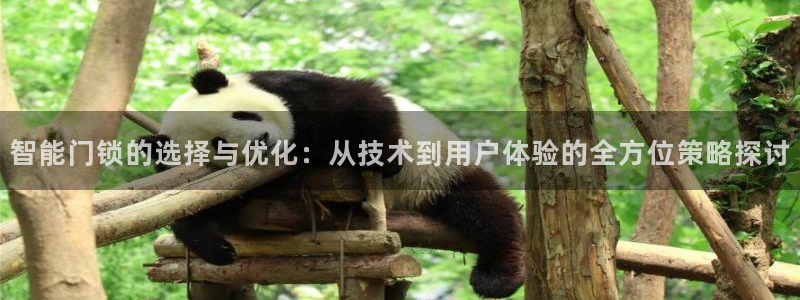 jdb游戏库：智能门锁的选择与优化：从技术到用户体验的全方位