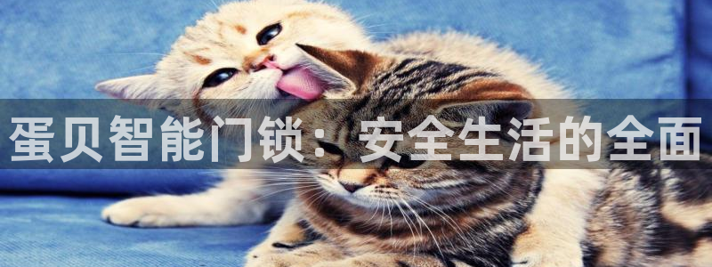 jdb夺宝在线游戏：蛋贝智能门锁：安全生活的全面
