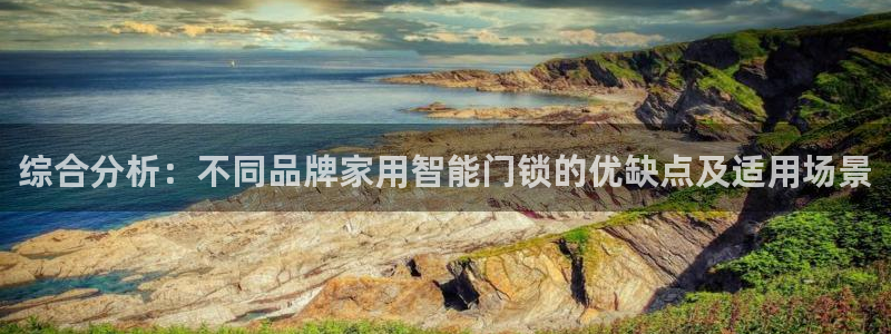 jdb是什么公司：综合分析：不同品牌家用智能门锁的优缺点及适