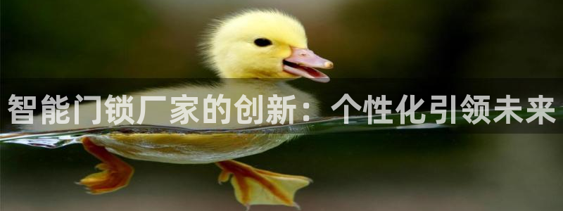 jdb电子游戏官方网站：智能门锁厂家的创新：个性化引领未来