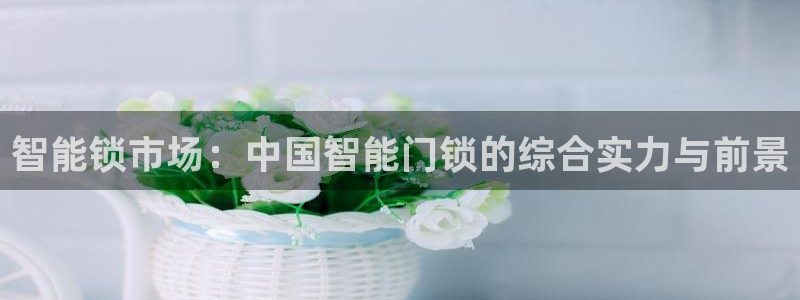 jdb电子龙舞技巧：智能锁市场：中国智能门锁的综合实力与前景