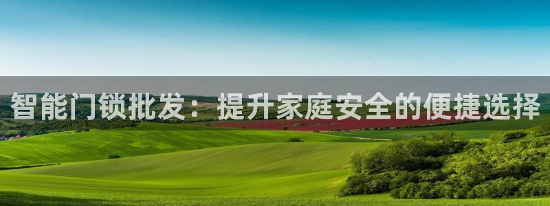 jdb游戏爆分时间段：智能门锁批发：提升家庭安全的便捷选择