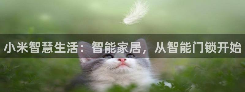 jdb试玩2000在线：小米智慧生活：智能家居，从智能门锁开