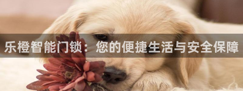 jdb电子是哪里开发的游戏：乐橙智能门锁：您的便捷生活与安全