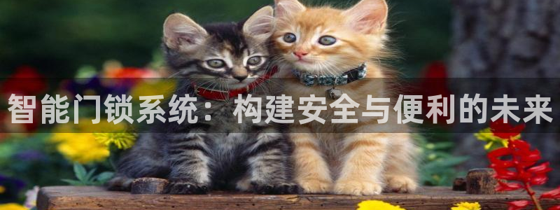 JDB电子夺宝试玩：智能门锁系统：构建安全与便利的未来