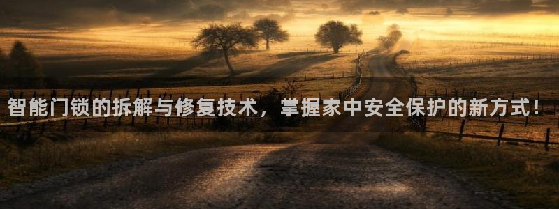 jdbgame：智能门锁的拆解与修复技术，掌握家中安全保护的