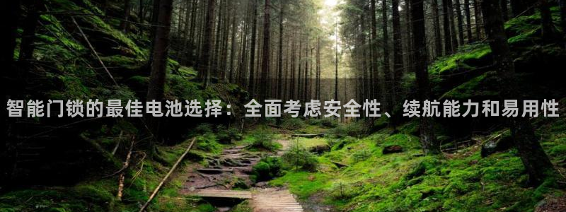 jdb电子厂：智能门锁的最佳电池选择：全面考虑安全性、续航能