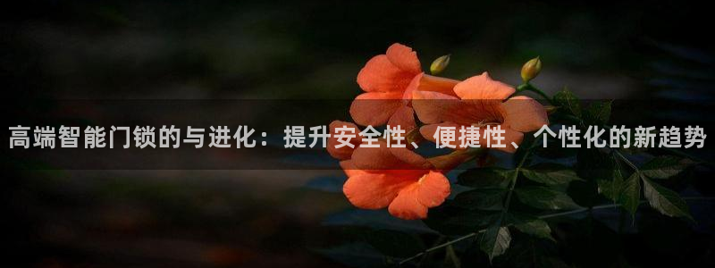 如何下载jdbc：高端智能门锁的与进化：提升安全性、便捷性、