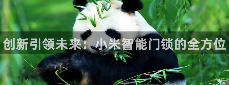 jdb电子游戏网址大全：创新引领未来：小米智能门锁的全方位