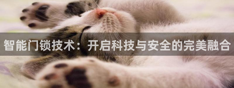 JDB电子埃及夺宝：智能门锁技术：开启科技与安全的完美融合