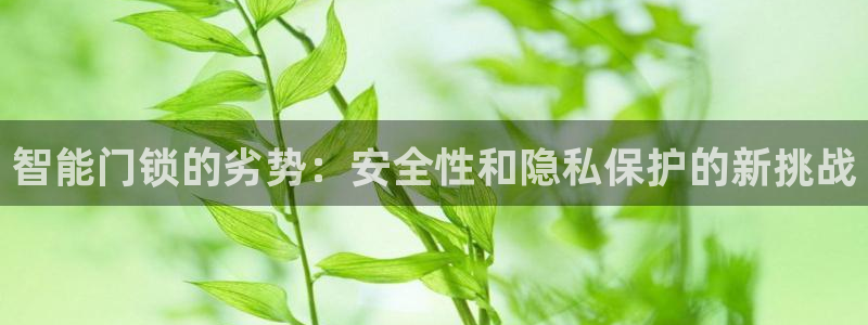 jdb电子试玩链接：智能门锁的劣势：安全性和隐私保护的新挑战