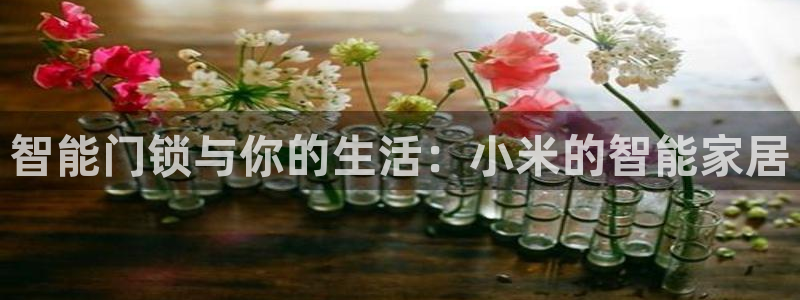 jdb五龙捕鱼1800倍：智能门锁与你的生活：小米的智能家居