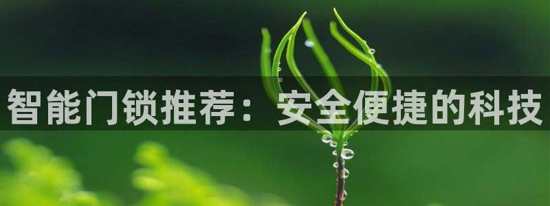 JDB电子埃及夺宝：智能门锁推荐：安全便捷的科技