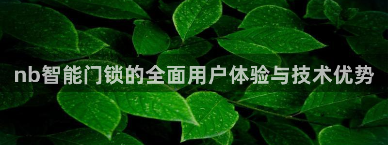 jdb游戏有规律吗：nb智能门锁的全面用户体验与技术优势