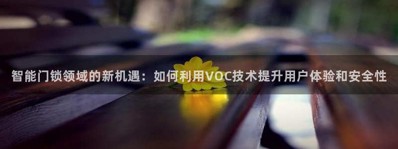 jdb电子富豪哥怎么玩：智能门锁领域的新机遇：如何利用VOC