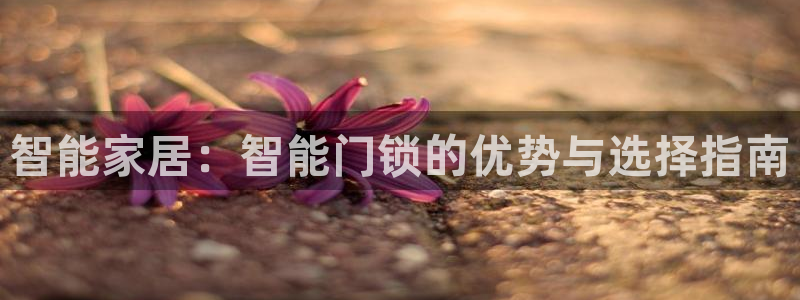 jdb龙舞游戏视频：智能家居：智能门锁的优势与选择指南