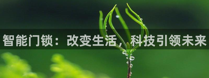 JDB电子龙舞：智能门锁：改变生活，科技引领未来