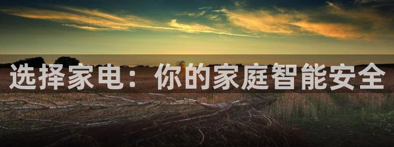 贴吧jdb什么意思：选择家电：你的家庭智能安全