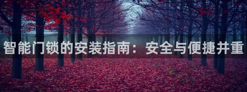 jdbc实现注册：智能门锁的安装指南：安全与便捷并重