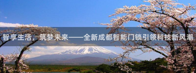 jdb电子夺宝试玩平台：智享生活，筑梦未来——全新成都智能门