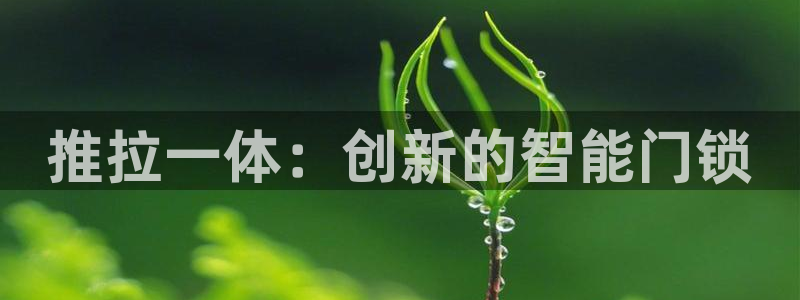 jdb电子百万大奖视频：推拉一体：创新的智能门锁