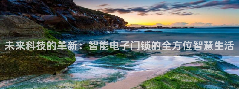 jdb试玩2000：未来科技的革新：智能电子门锁的全方位智慧