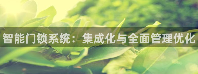 jdb是什么平台：智能门锁系统：集成化与全面管理优化