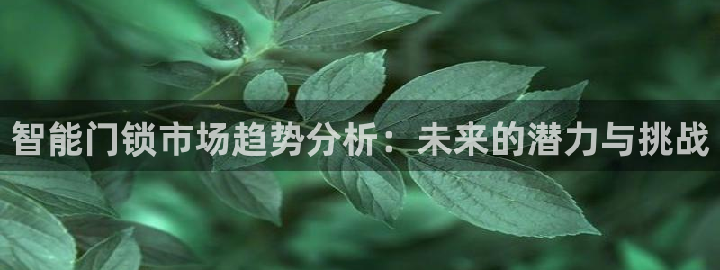 jdb游戏中的累计押分是什么意思：智能门锁市场趋势分析：未来