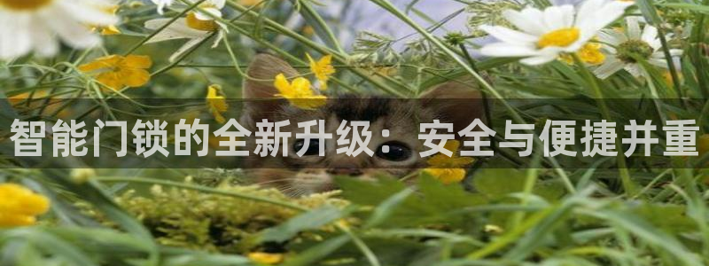 jdb试玩模拟器：智能门锁的全新升级：安全与便捷并重