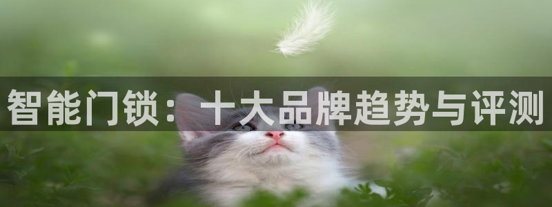 jdb电子金刚玩法：智能门锁：十大品牌趋势与评测