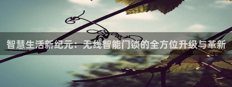 jdb金鸡报喜大奖视频：智慧生活新纪元：无线智能门锁的全方位