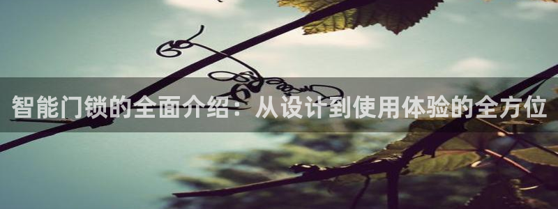 jdb电子富豪哥爆奖视频：智能门锁的全面介绍：从设计到使用体