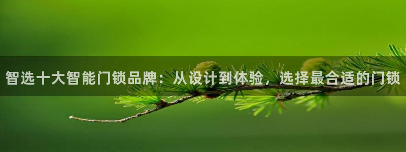 jdb-lq：智选十大智能门锁品牌：从设计到体验，选择最合适