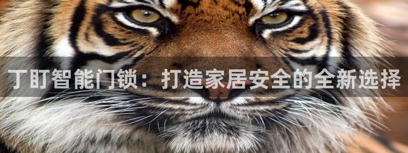 JDB电子官网平台：丁盯智能门锁：打造家居安全的全新选择