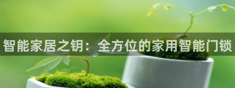 jdb yes：智能家居之钥：全方位的家用智能门锁